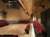 Tara-Theatre-Auditorium-Credit-Philip_Vile.jpg